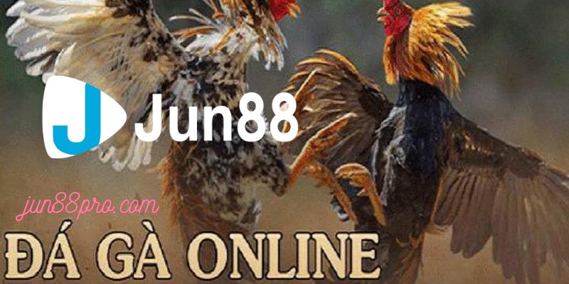 đá gà online tại casino jun88