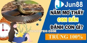 nằm mơ thấy rắn đánh số gì