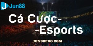 Cá cược Esport là gì