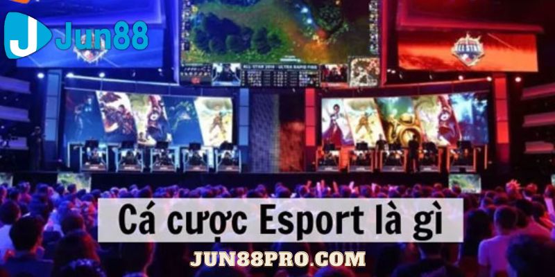 Cá cược Esport là gì