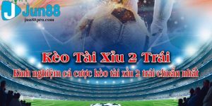 kèo tài xỉu 2 trái là gì