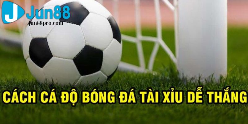 kèo tài xỉu 2 trái là gì