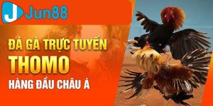 đá gà trực tuyến