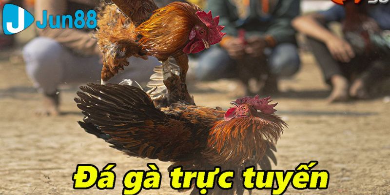 đá gà trực tuyến