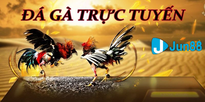 đá gà trực tuyến