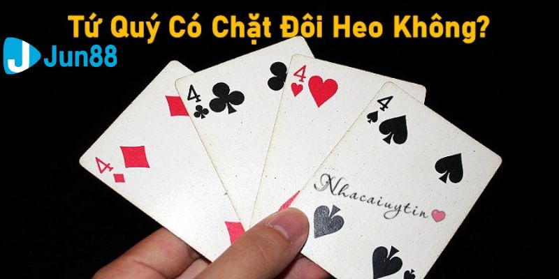 cách dụ heo đỏ