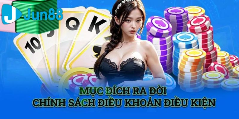 điều kiện và điều khoản